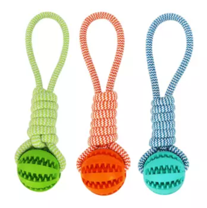 Durable Rubber Ball Chew Toy with Cotton Rope